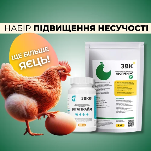 Набір "Для підвищення несучості"